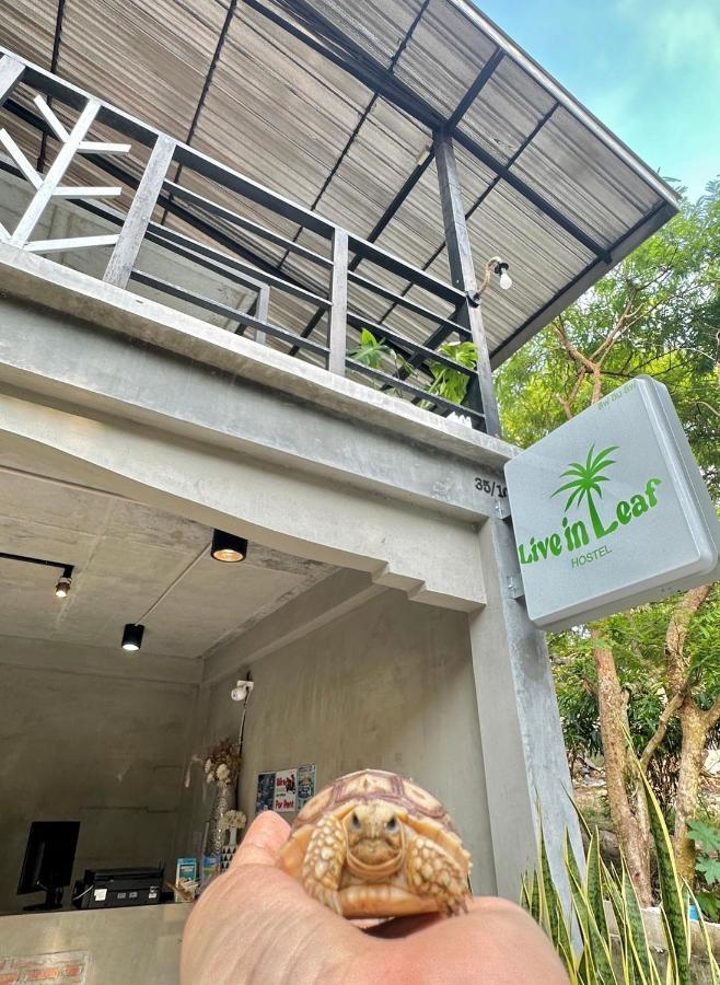 Hostel Live In Leaf Ko Tao Exterior foto